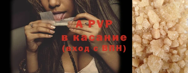 гидра Белокуриха
