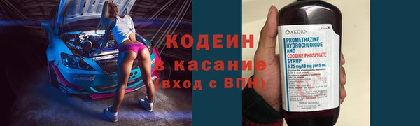 гидра Белокуриха