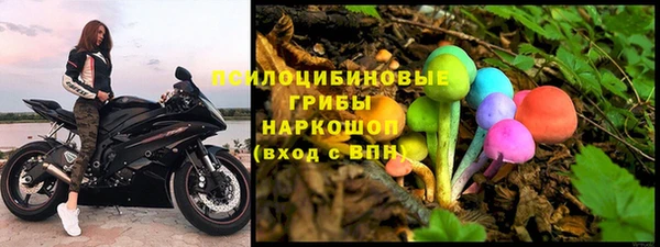 прущие крисы Белоозёрский